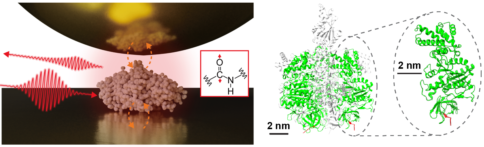 New paper is published in Nano Letters